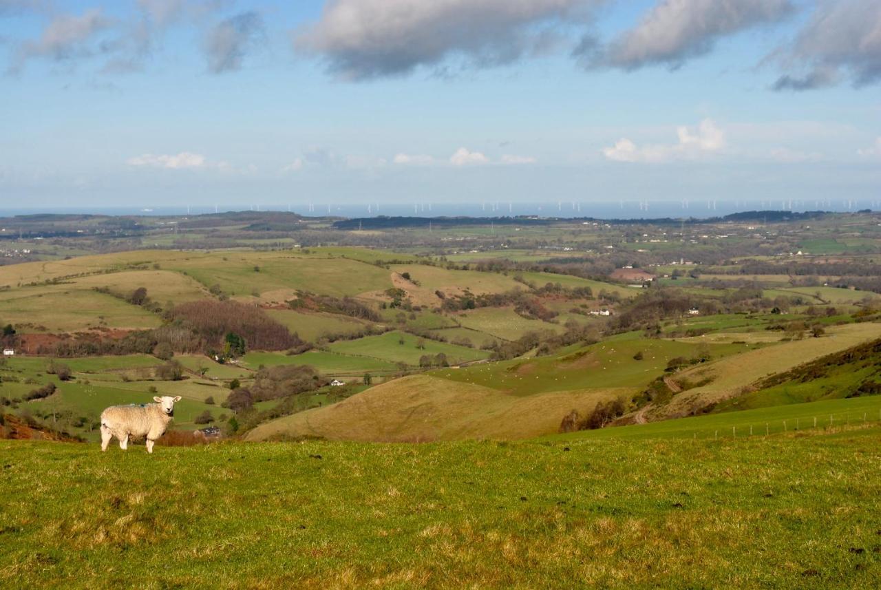 Penbedw Uchaf Estate - Rural Retreats, Tennis 莫尔德 外观 照片