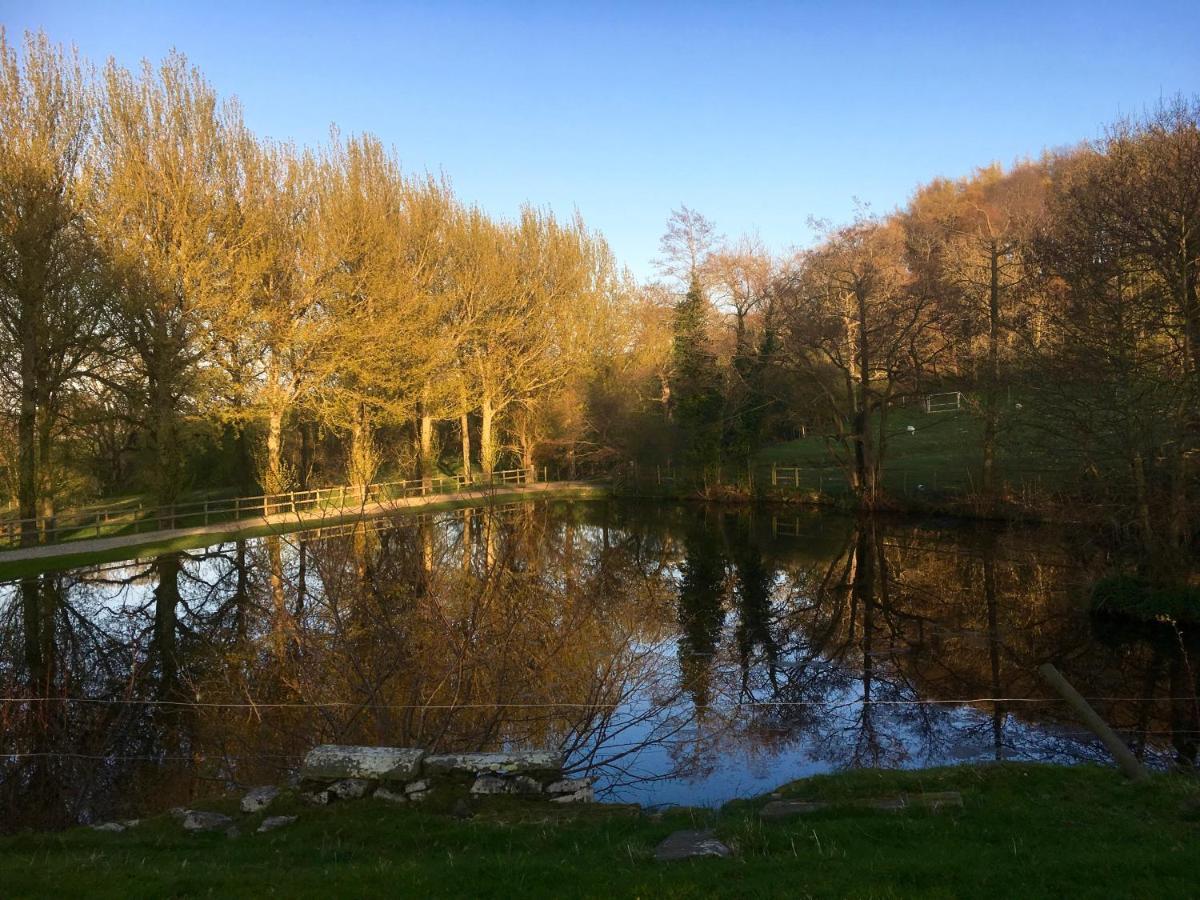 Penbedw Uchaf Estate - Rural Retreats, Tennis 莫尔德 外观 照片