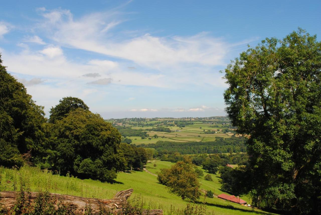 Penbedw Uchaf Estate - Rural Retreats, Tennis 莫尔德 外观 照片