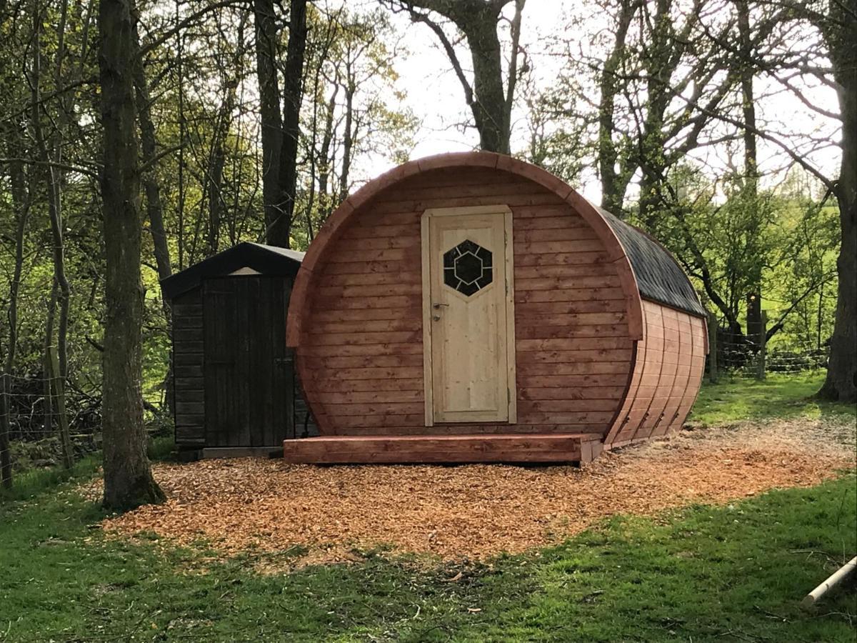 Penbedw Uchaf Estate - Rural Retreats, Tennis 莫尔德 外观 照片