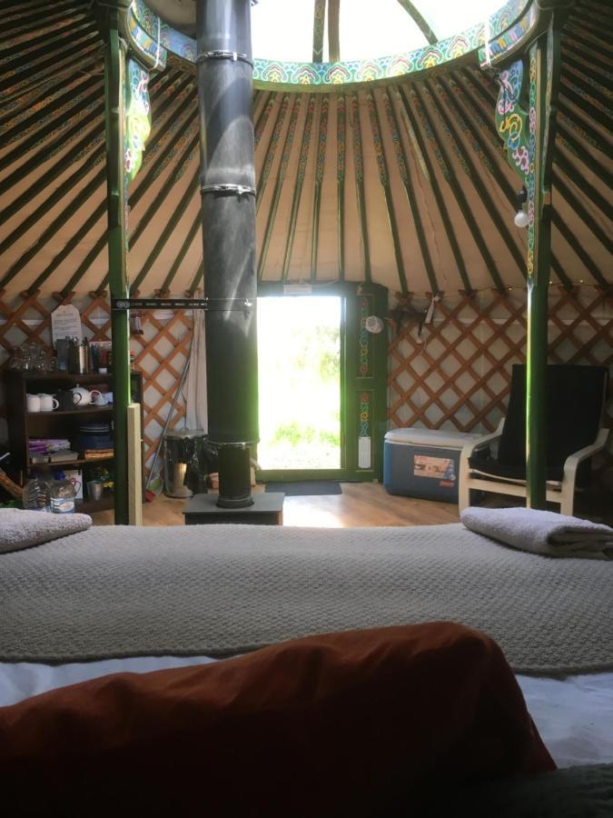 Penbedw Uchaf Estate - Rural Retreats, Tennis 莫尔德 外观 照片