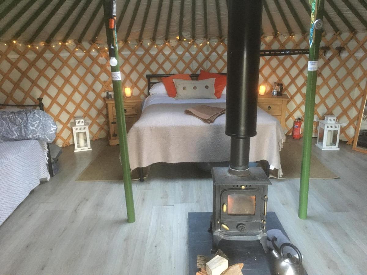 Penbedw Uchaf Estate - Rural Retreats, Tennis 莫尔德 外观 照片