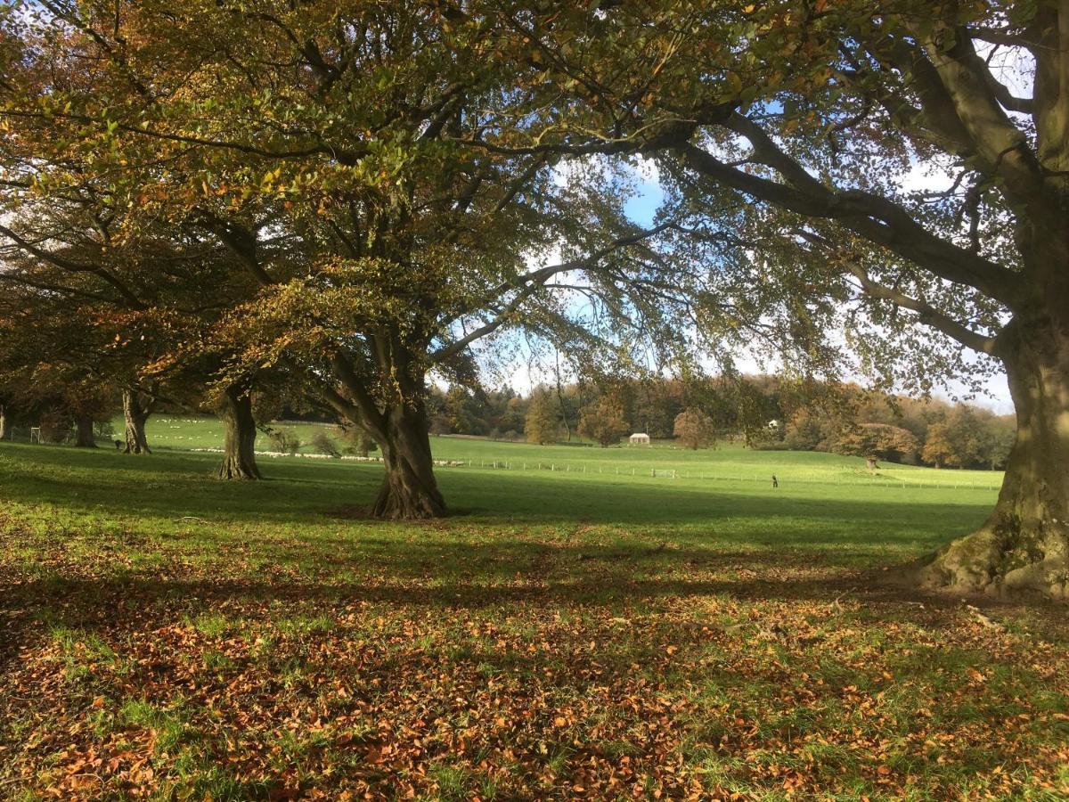 Penbedw Uchaf Estate - Rural Retreats, Tennis 莫尔德 外观 照片