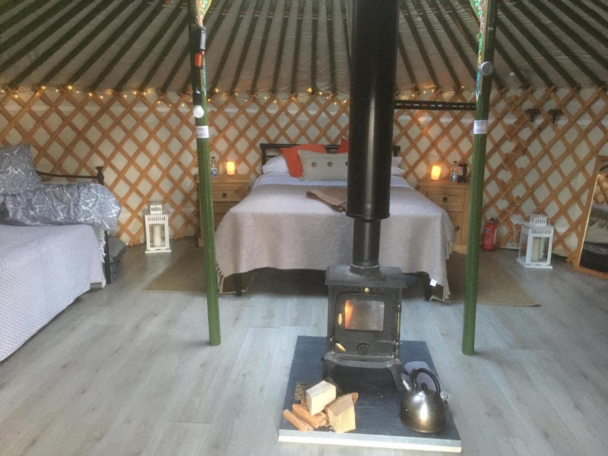 Penbedw Uchaf Estate - Rural Retreats, Tennis 莫尔德 外观 照片